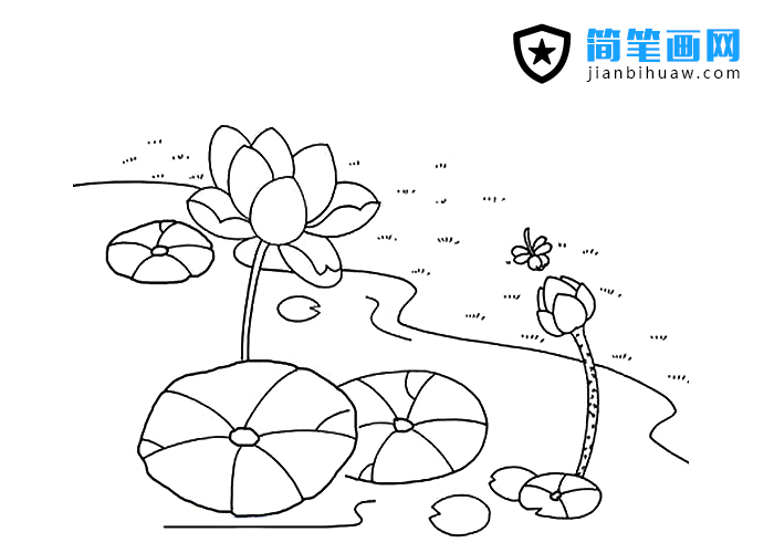 荷花池的簡筆畫圖片