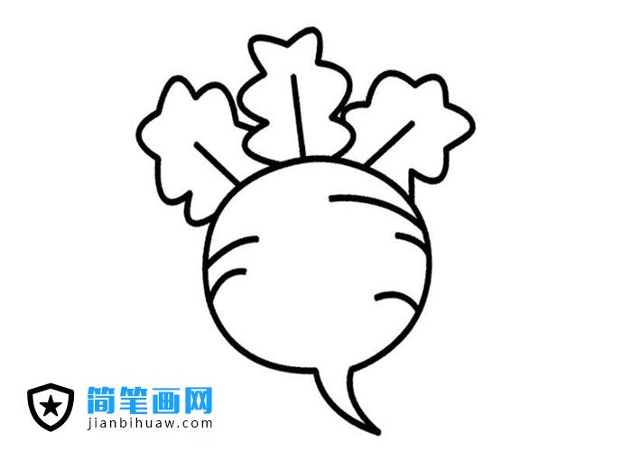 蘿卜簡筆畫圖片含上色