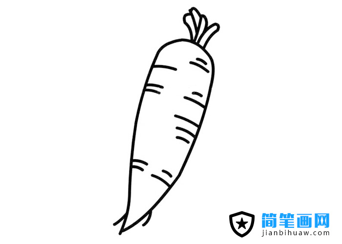 簡單的胡蘿卜簡筆畫圖片