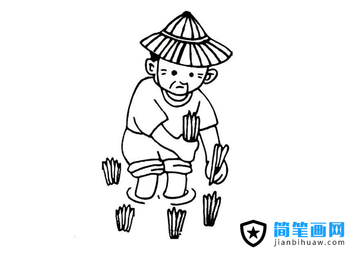 農民伯伯插秧的簡筆畫圖片