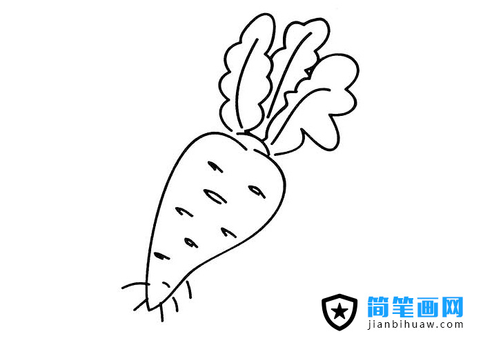 簡單胡蘿卜簡筆畫圖片