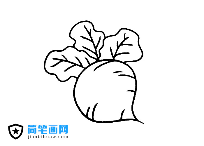 好看的蘿卜簡筆畫圖片