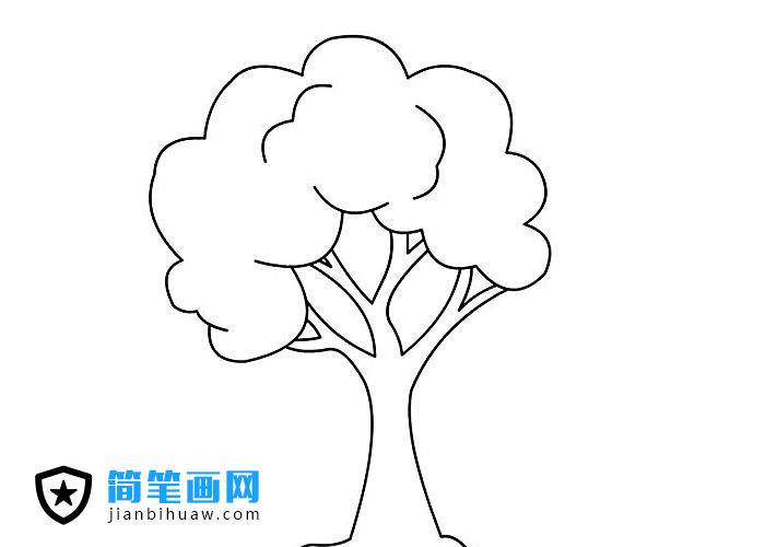 大樹的簡筆畫畫法圖片
