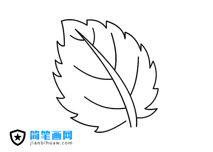 一片樹葉簡筆畫圖片