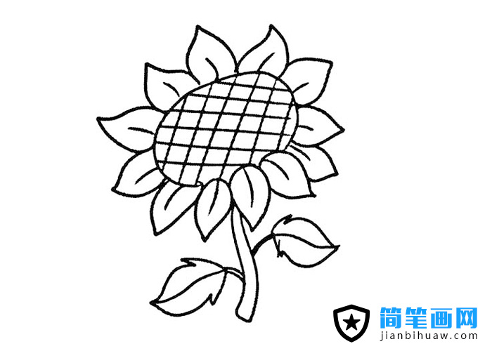 好看的向日葵簡筆畫圖片