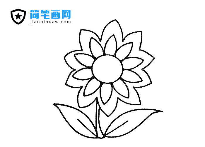 簡單可愛的小花朵簡筆畫圖片
