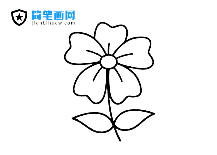 五個花瓣的花朵簡筆畫圖片