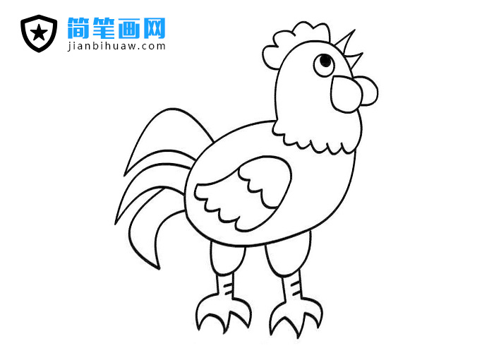 打鳴的大公雞簡筆畫圖片
