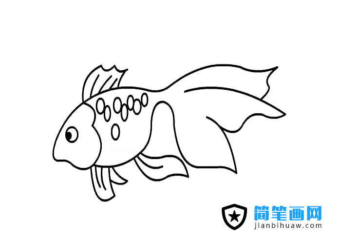 一只漂亮的金魚簡筆畫圖片