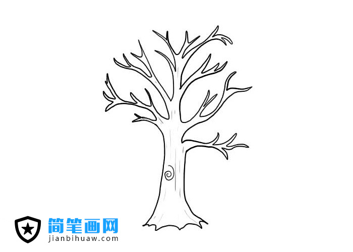 枯萎的大樹簡筆畫圖片