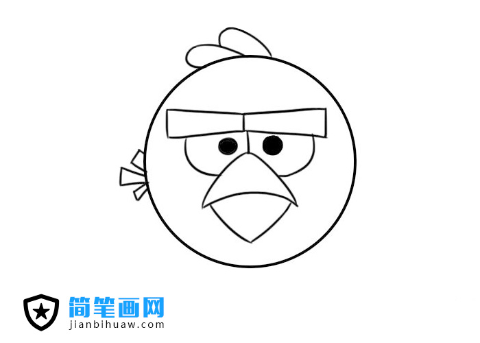 憤怒的小鳥簡筆畫圖片含上色