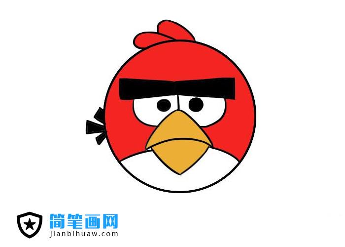 憤怒的小鳥簡筆畫圖片含上色