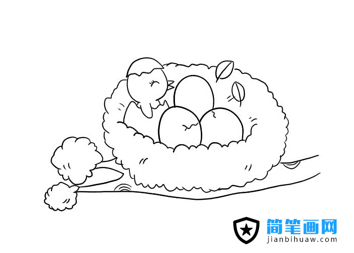 鳥窩簡筆畫圖片含上色