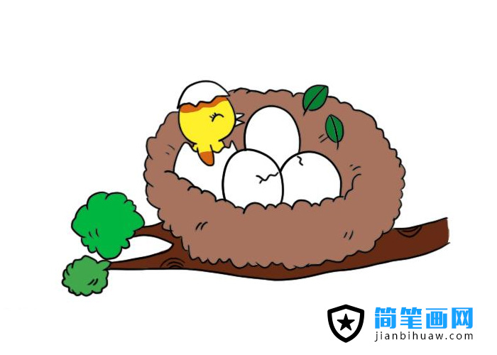 鳥窩簡筆畫圖片含上色