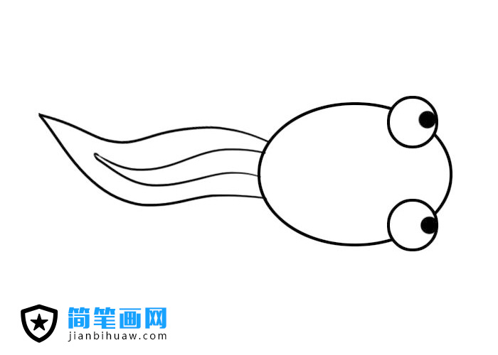 小蝌蚪簡筆畫圖片含上色