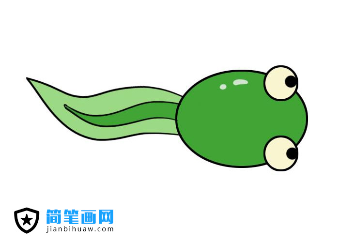 小蝌蚪簡筆畫圖片含上色