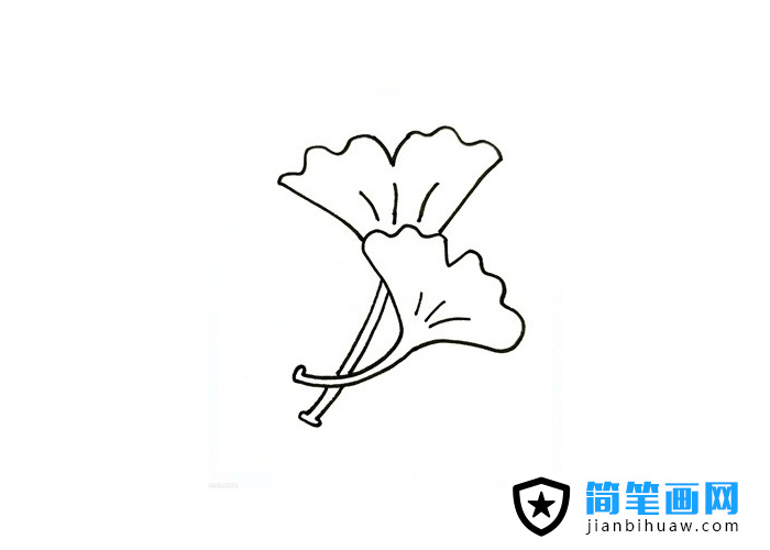 銀杏葉子簡筆畫圖片