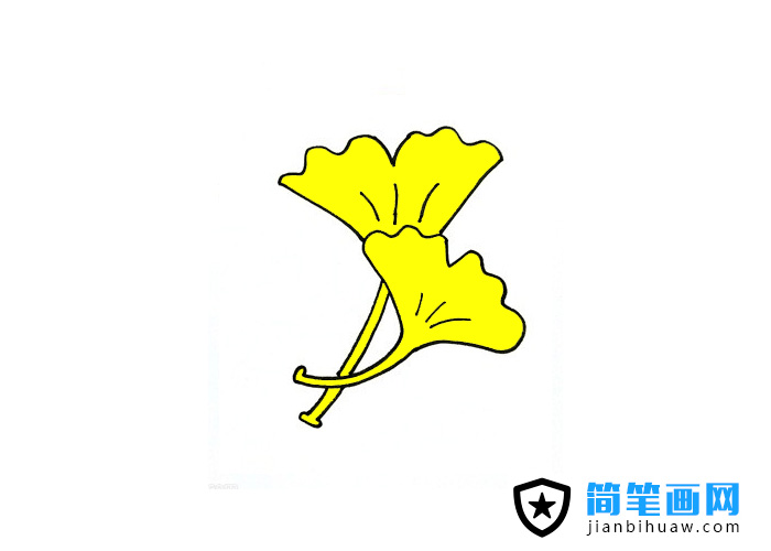 銀杏葉子簡筆畫圖片