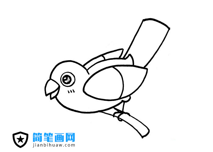 站在樹枝上的小鳥簡筆畫圖片