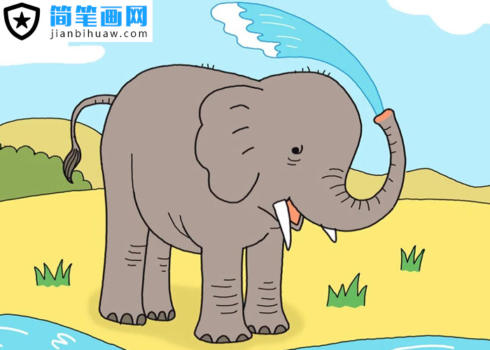 大象用鼻子吸水洗澡的簡筆畫