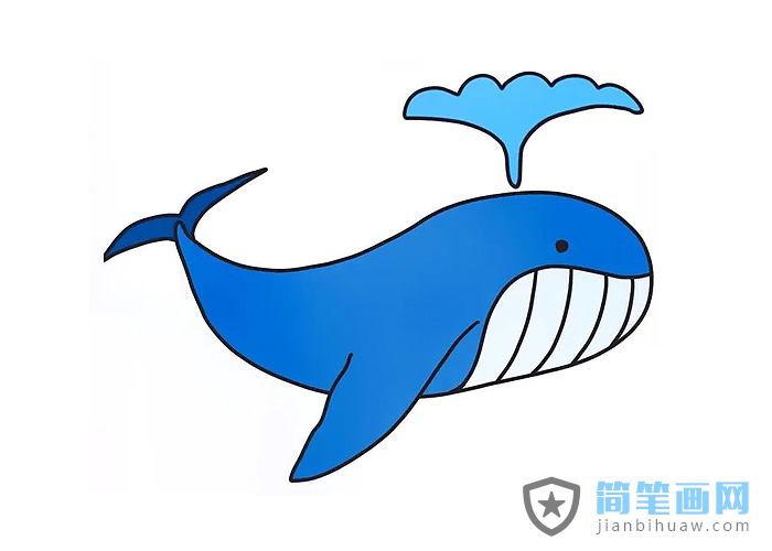 噴水的鯨魚簡筆畫圖片